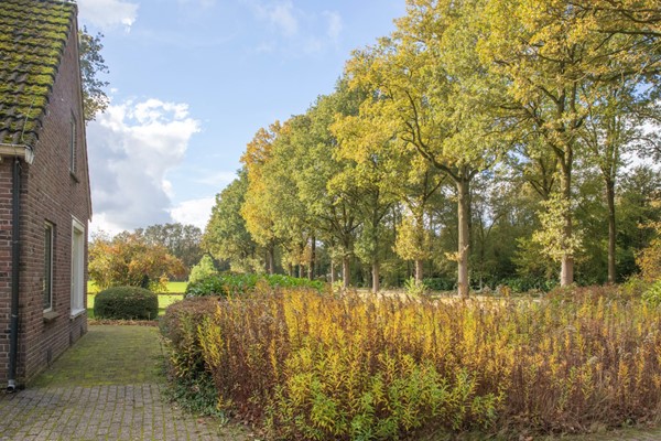 Witte Menweg 3, 7917TK Geesbrug (16).jpg